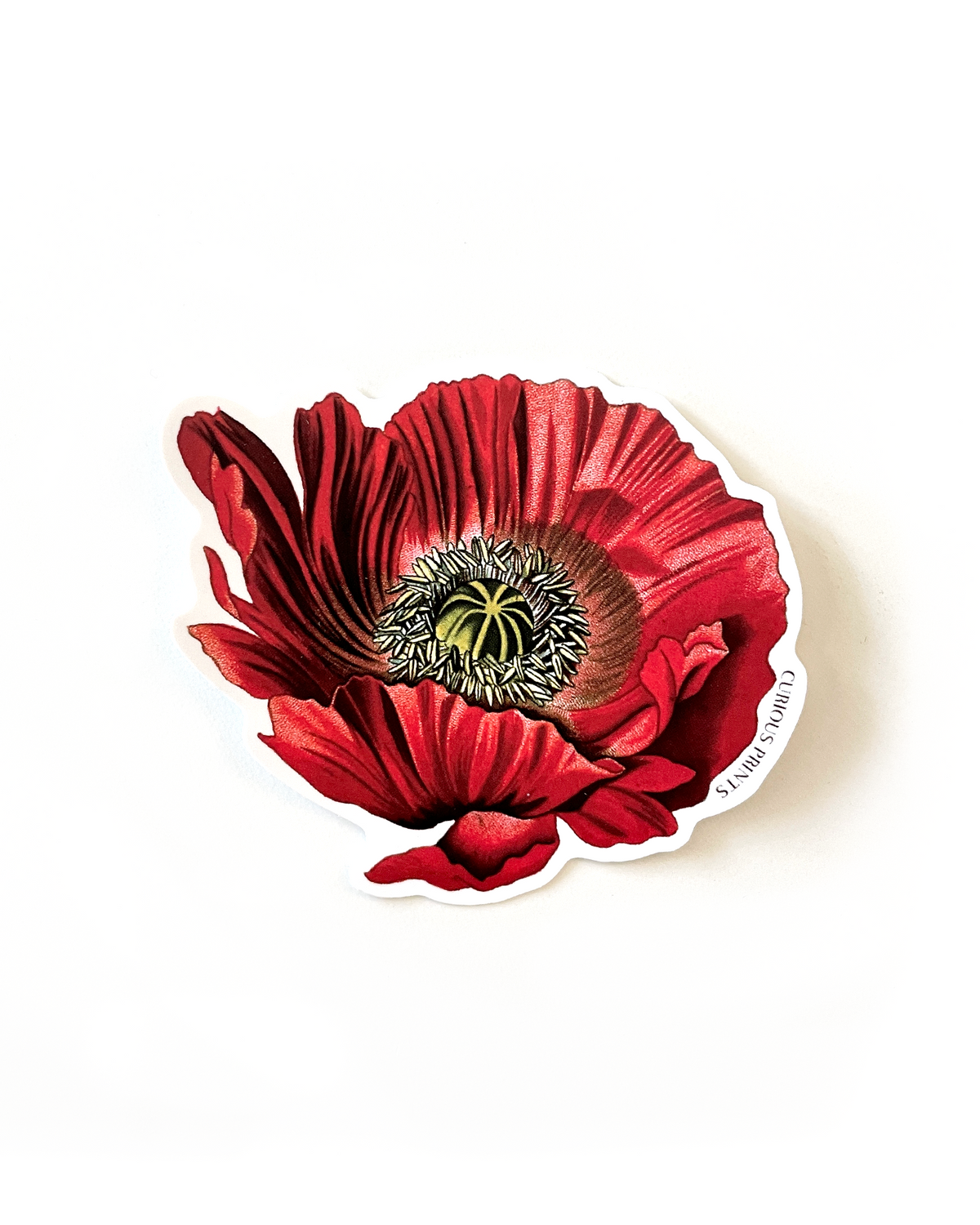 Vintage Botanical Poppy Flower Vinyl Sticker