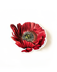Vintage Botanical Poppy Flower Vinyl Sticker