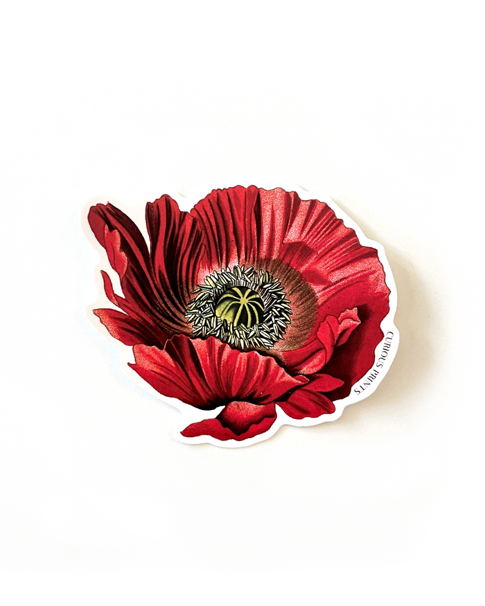Vintage Botanical Poppy Flower Vinyl Sticker