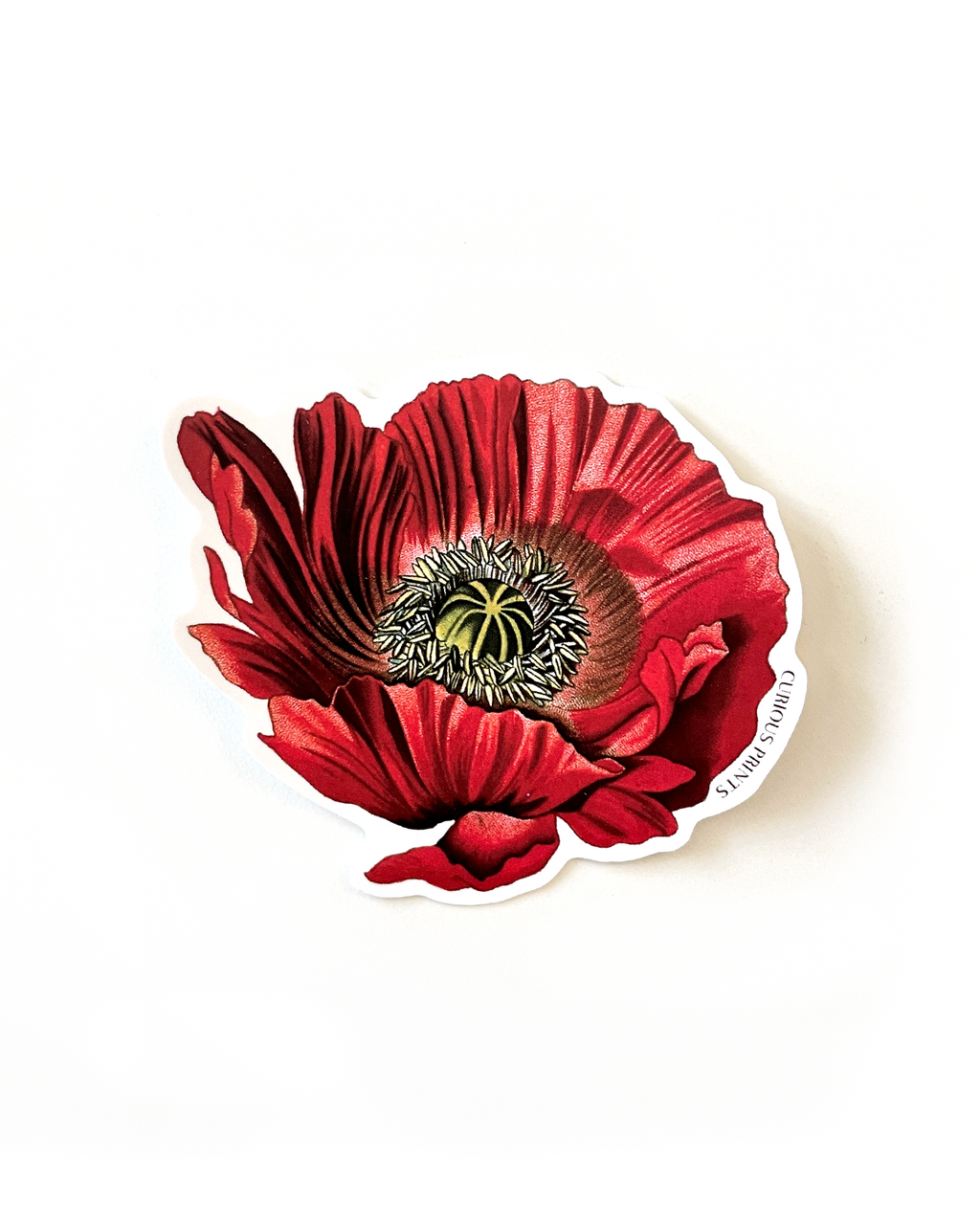 Vintage Botanical Poppy Flower Vinyl Sticker