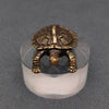 Brass Turtle Decoration