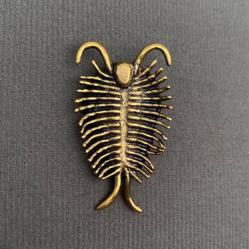 Brass Trilobite