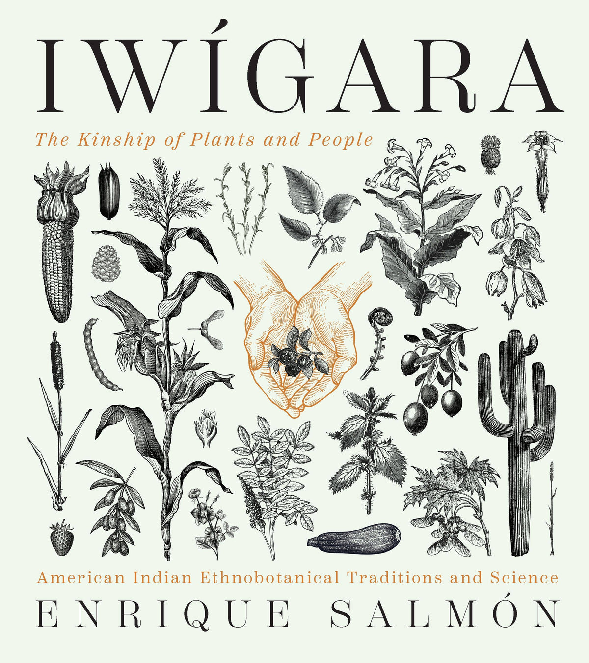 Iwígara by Enrique Salmón