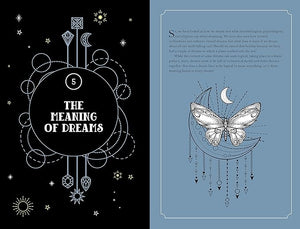 In Focus: Dreams by Angela Mogridge