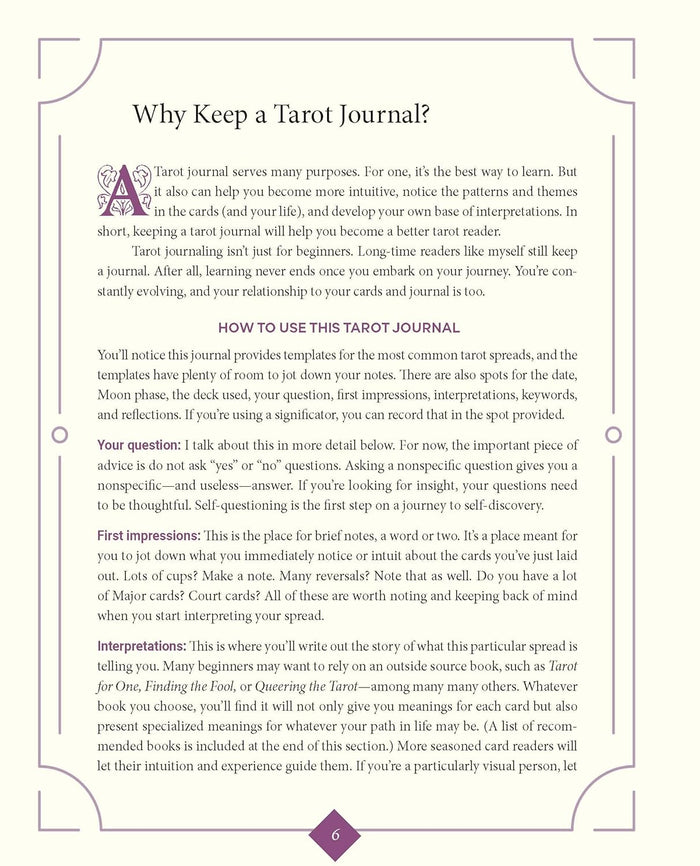Weiser Tarot Journal & Stickers by Theresa Reed
