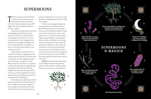 Astrology Magick by Lindsay Squire