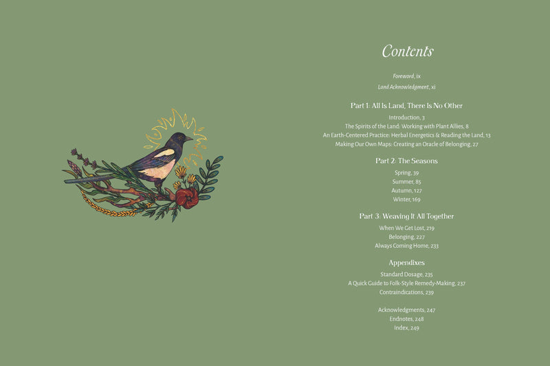 Apothecary of Belonging by Alexis J. Cunningfolk