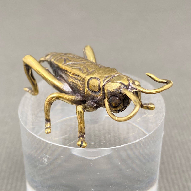 Brass Cricket Decoration