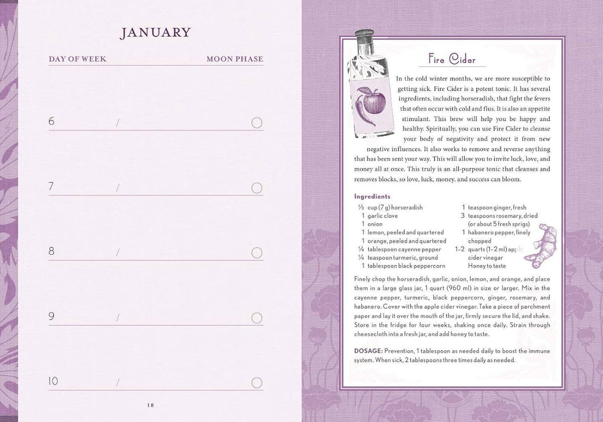 The Good Witch's Perpetual Planner by Shawn Robbins & Charity Bedell