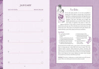 The Good Witch's Perpetual Planner by Shawn Robbins & Charity Bedell