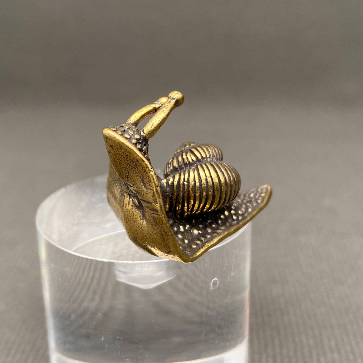 Brass Curious Snail Decoration