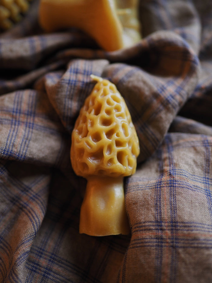Beeswax Morel Mushroom Candle