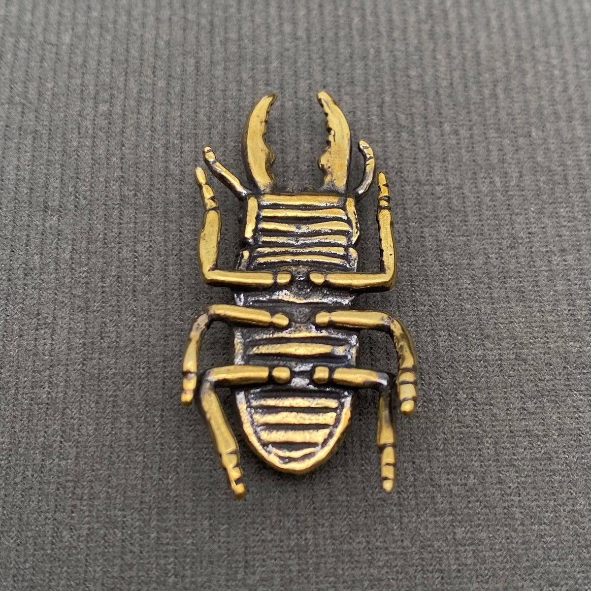 Brass Stag Beetle Decoration