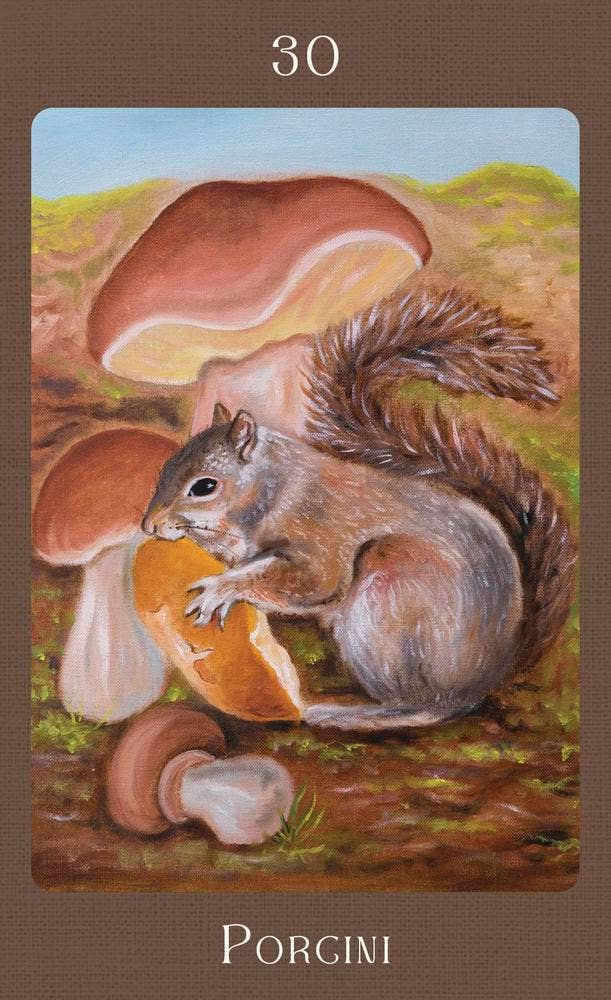 Mushroom Folk Oracle By Sharon McLeod