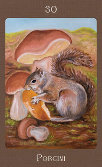 Mushroom Folk Oracle By Sharon McLeod