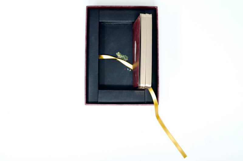 Oracle of Rewilding by Alexandra Eldridge & Sherry Salman