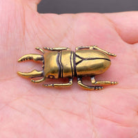 Brass Stag Beetle Decoration