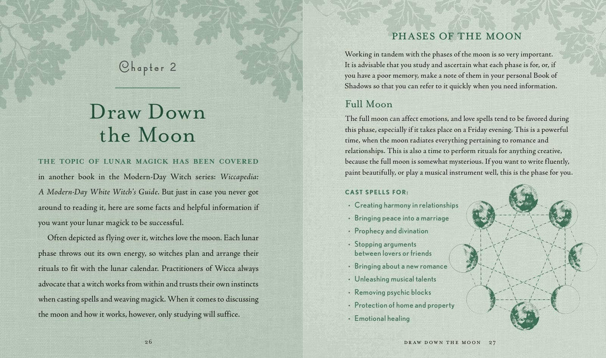 Witch's Way by Shawn Robbins & Leanna Greenway
