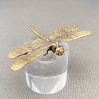 Brass Dragonfly Decoration