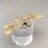 Brass Dragonfly Decoration