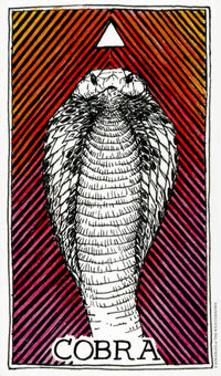 Wild Unknown Animal Spirit Deck and Guidebook by Kim Krans