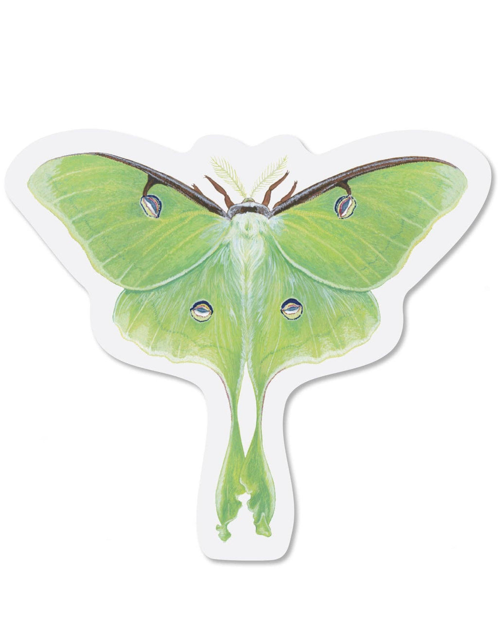 Luna Moth Clear Vinyl Sticker