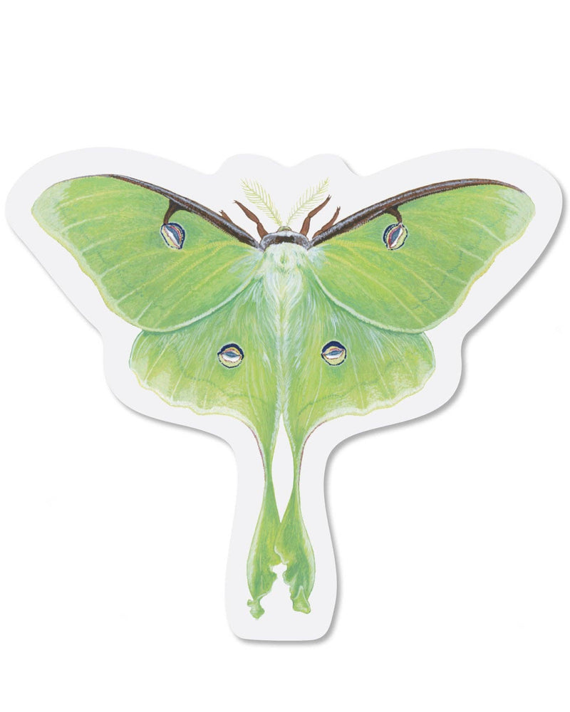 Luna Moth Clear Vinyl Sticker