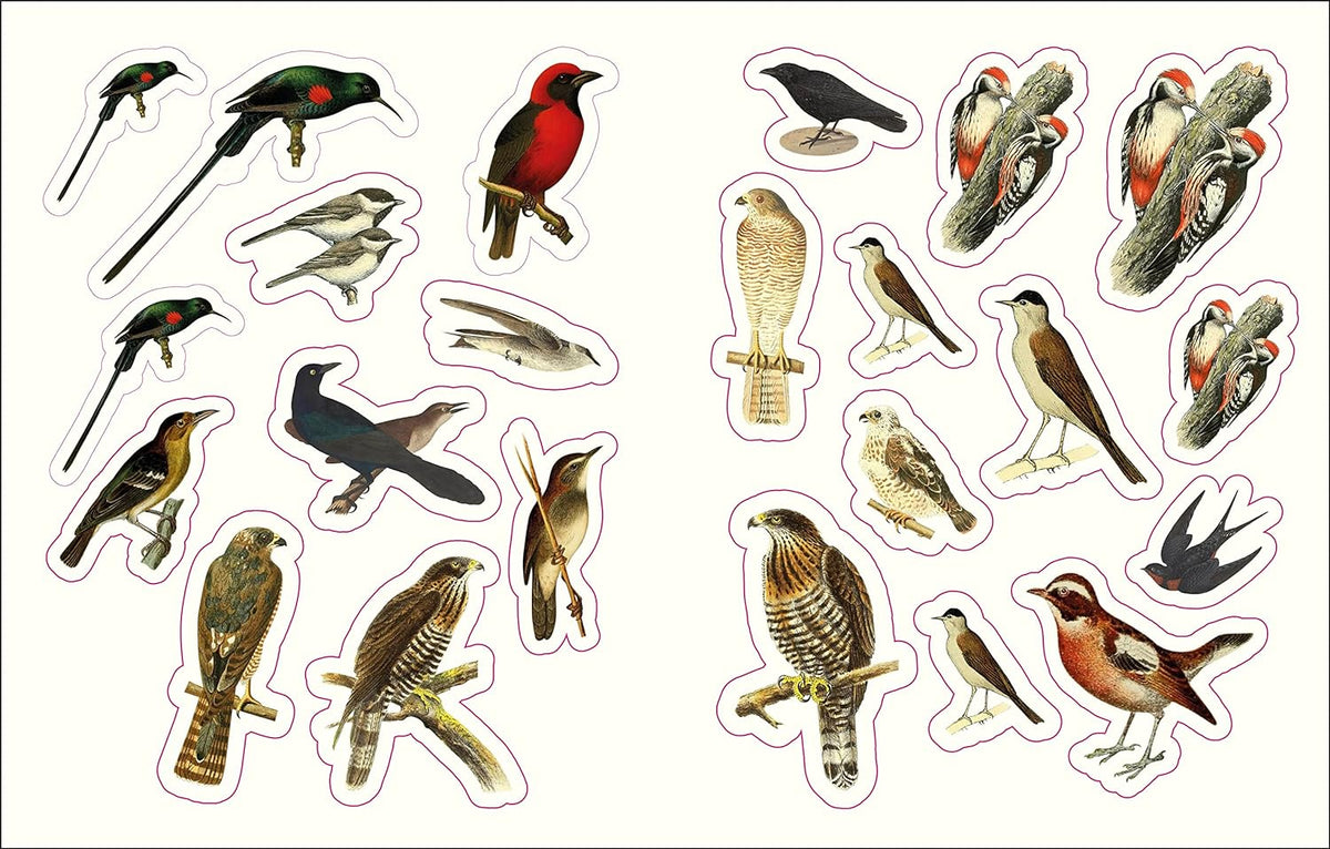 Forests, Fairies, and Fungi Sticker Anthology