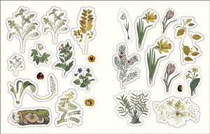 Forests, Fairies, and Fungi Sticker Anthology