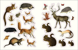 Forests, Fairies, and Fungi Sticker Anthology