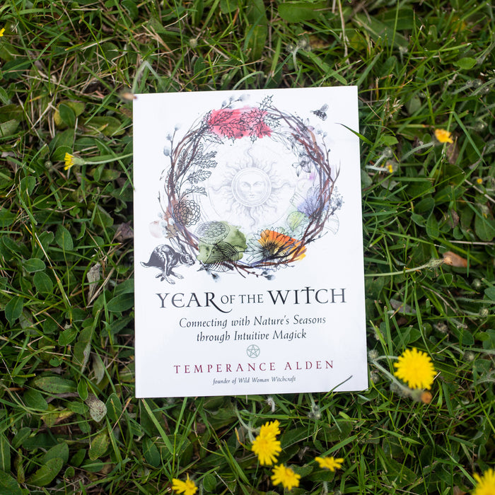 Year of the Witch by Temperance Alden