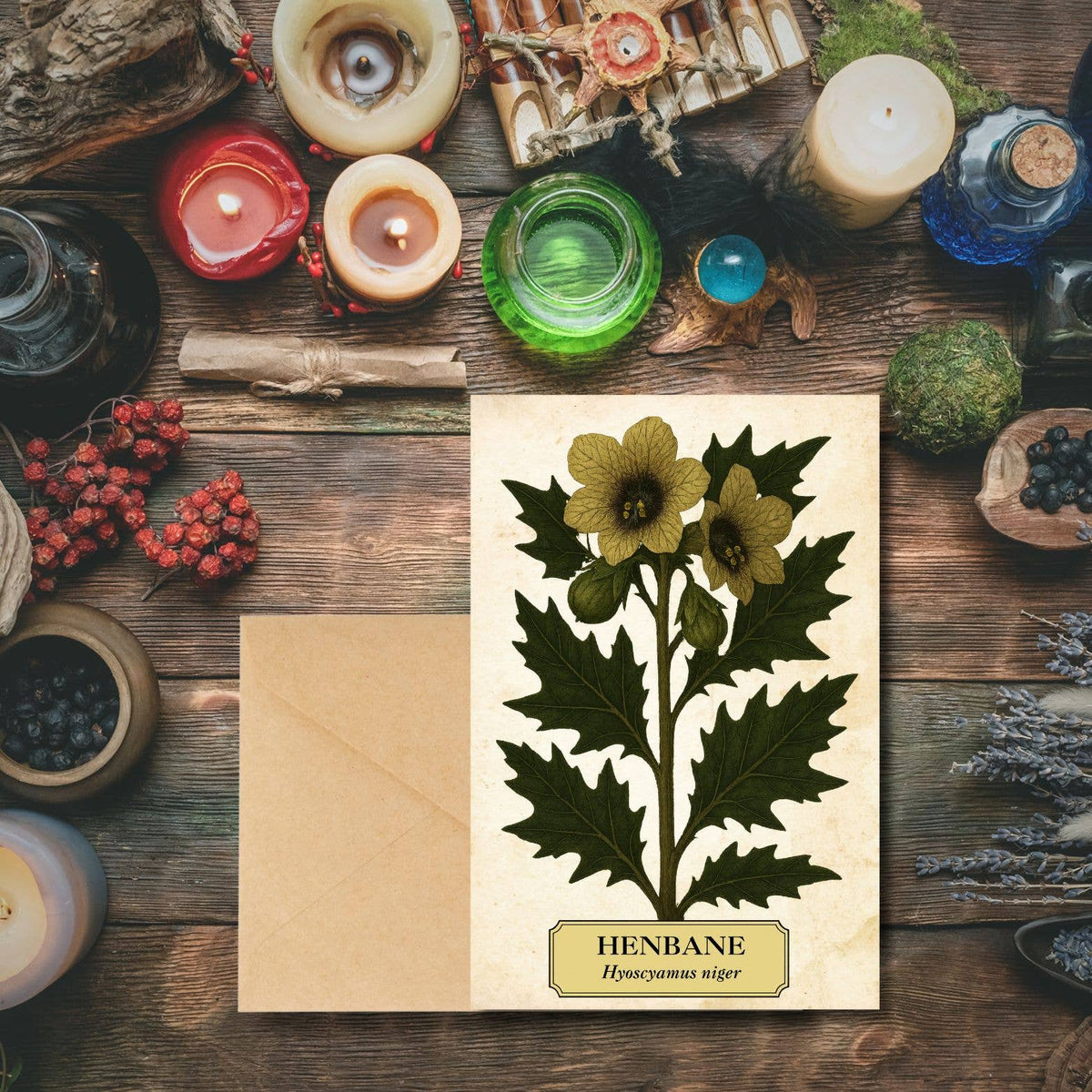 Witch's Garden Greeting Cards