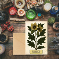 Witch's Garden Greeting Cards