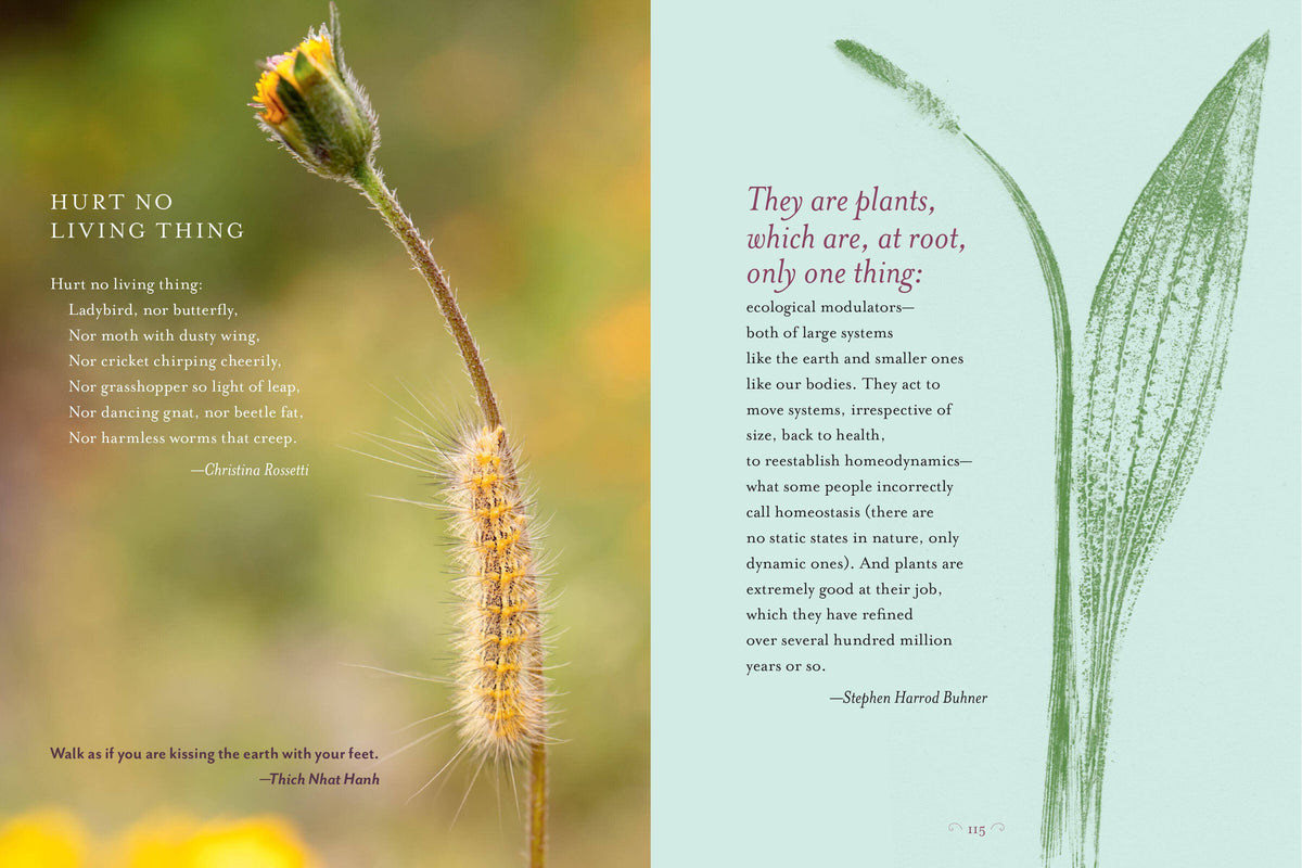 Generosity Of Plants by Rosemary Gladstar