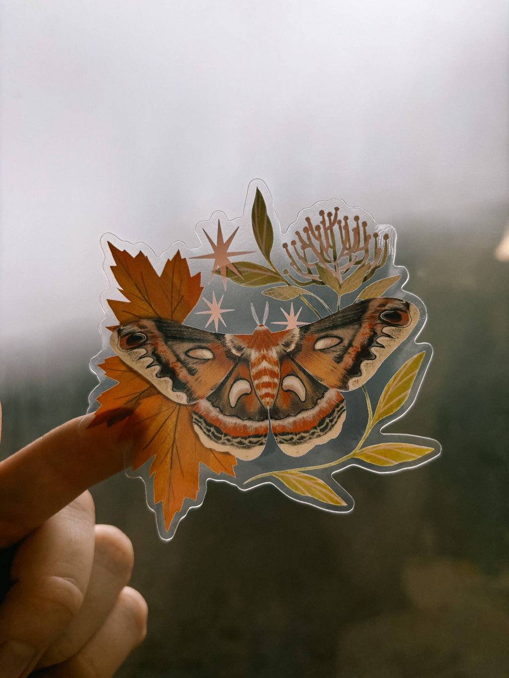 Cecropia Moth Clear Vinyl Sticker