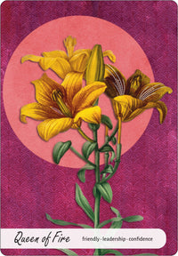 Wise Earth Medicine Tarot by Lalania Simone