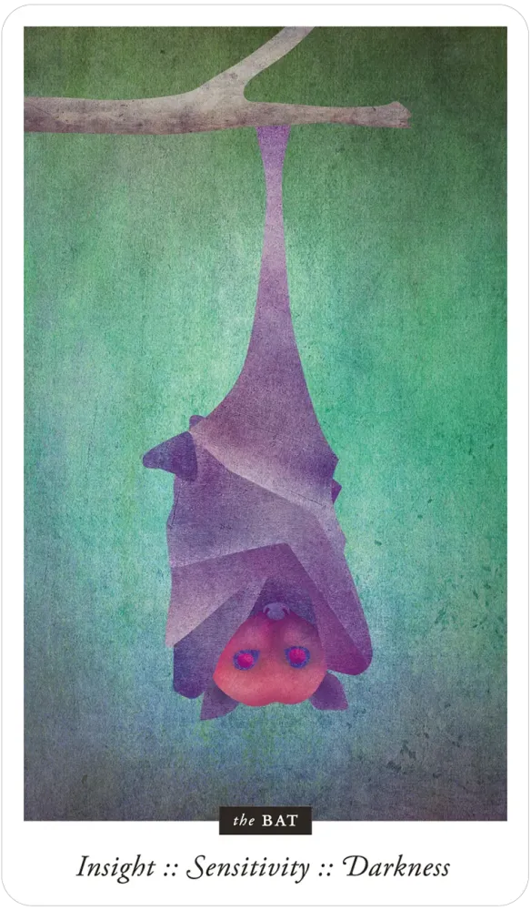 Familiar Field Oracle by Hannah Elizabeth Fofana