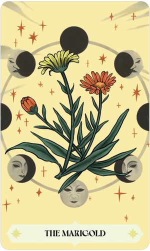 Herbana Witch Oracle by Cecilia Lattari and Alice Guidi
