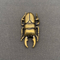 Brass Stag Beetle Decoration