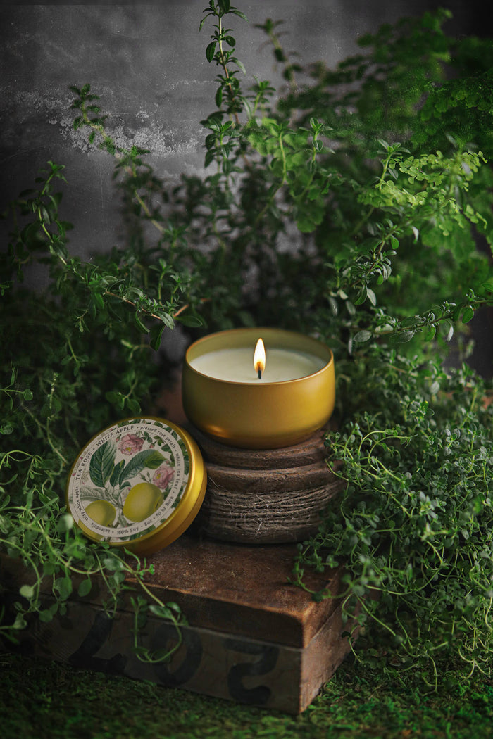 Tea Rose + White Apple Candle