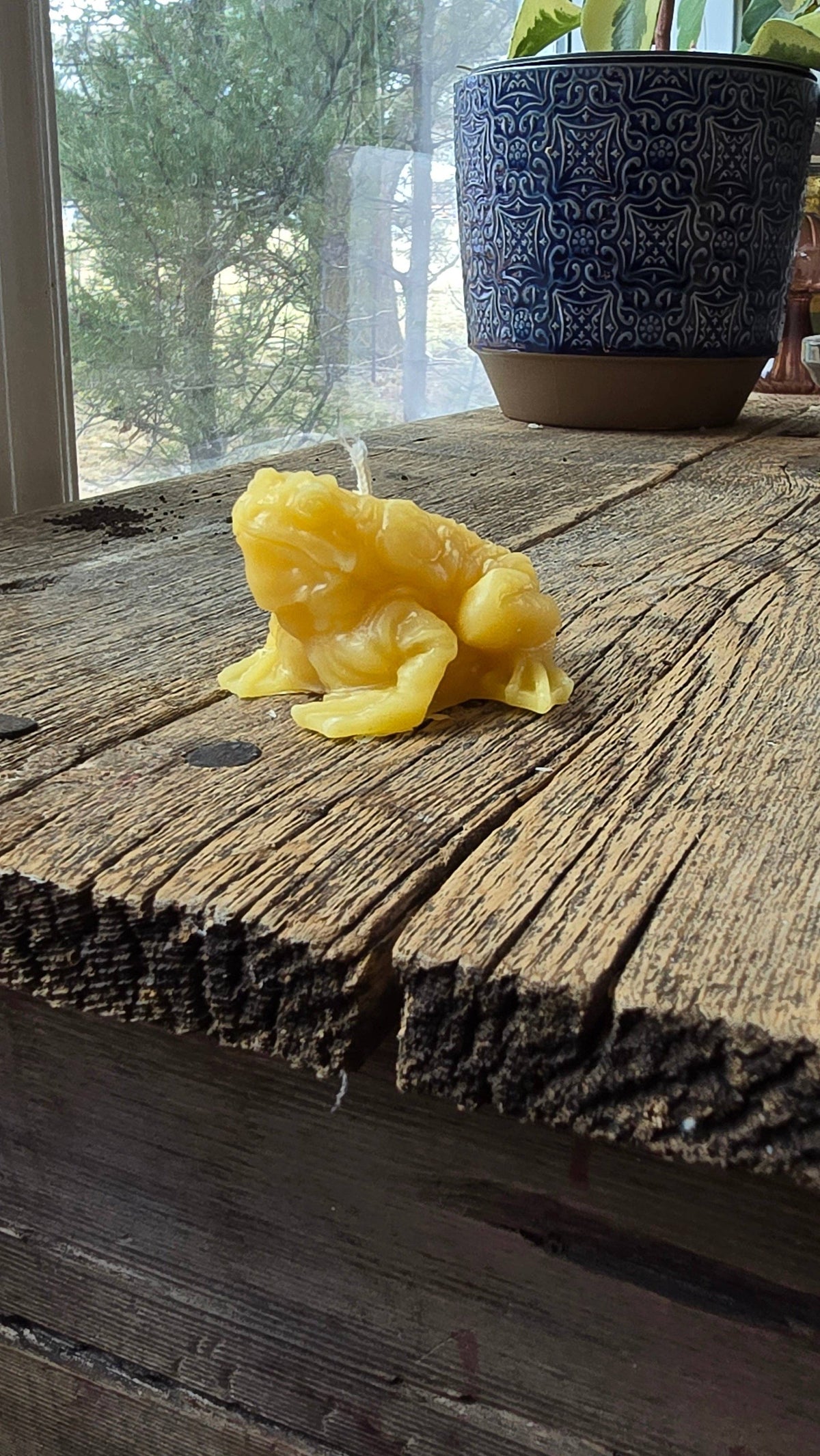 Beeswax Toad Candle