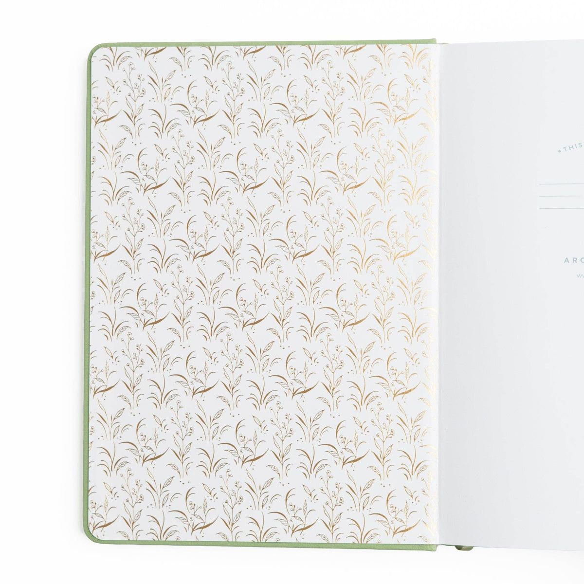 Turtle Dot Grid Journal