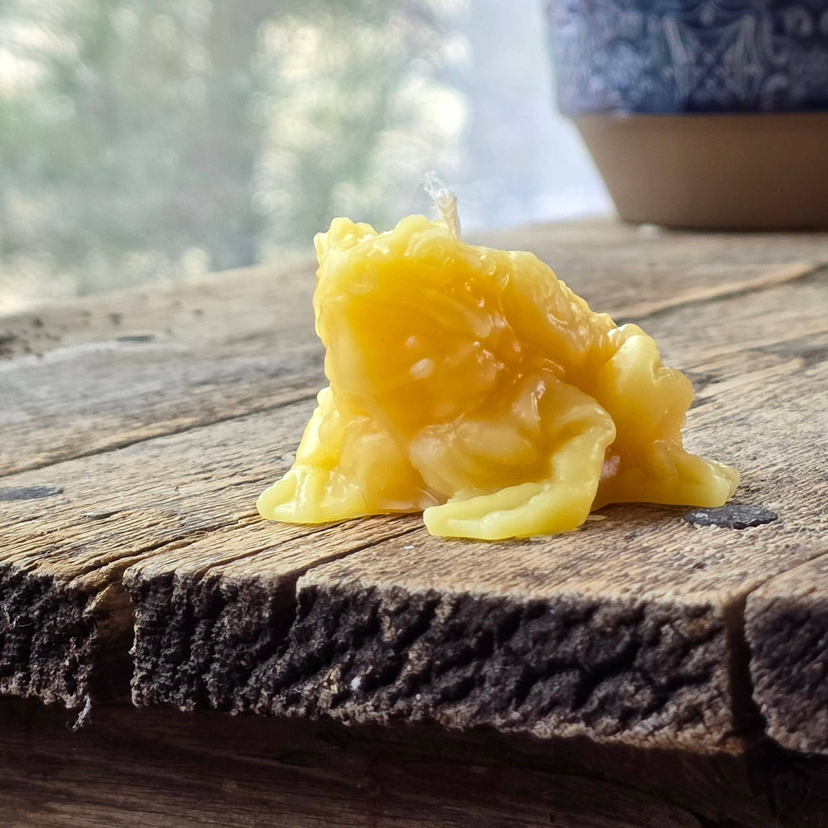 Beeswax Toad Candle