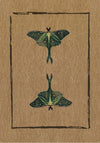 Conjure Cards by Jake Richards