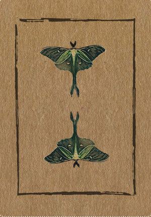 Conjure Cards by Jake Richards