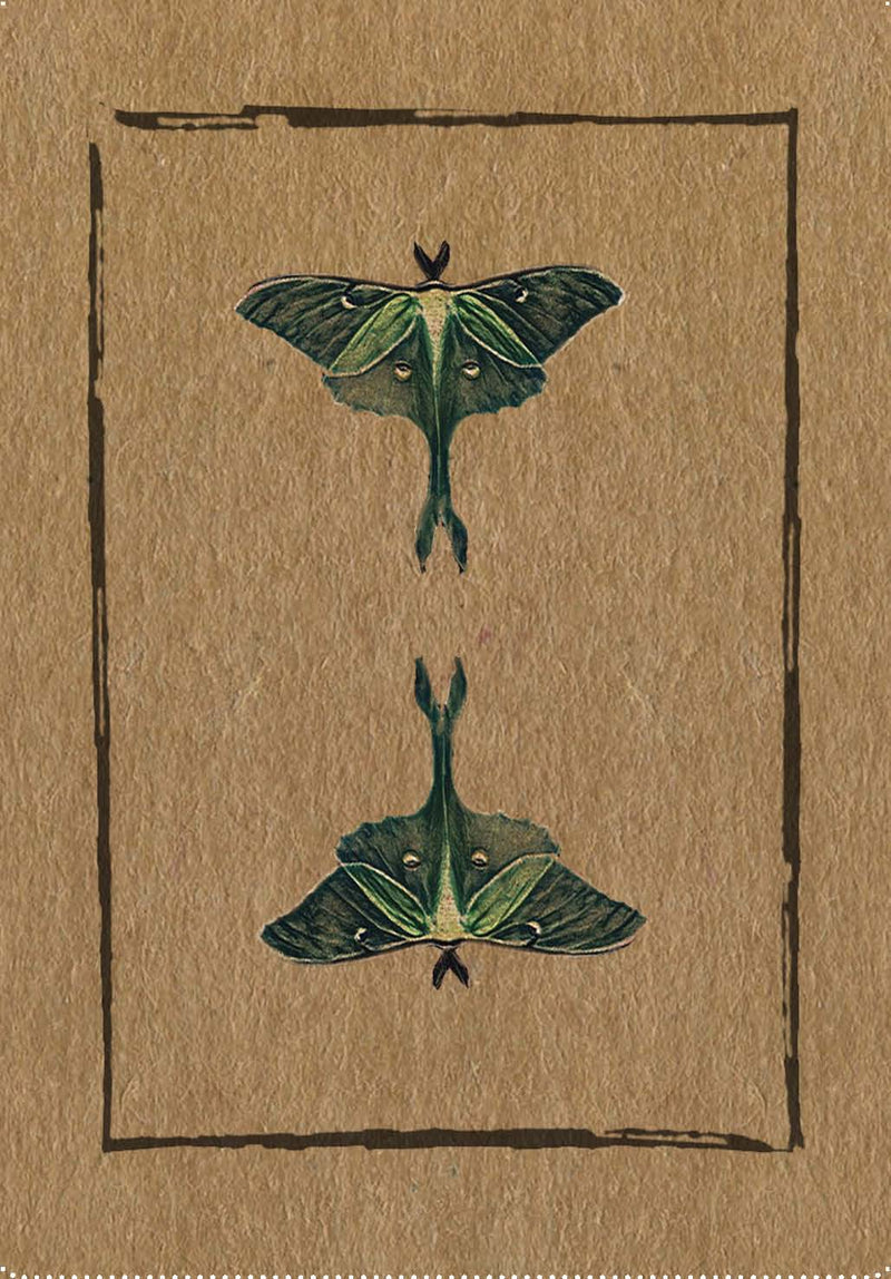 Conjure Cards by Jake Richards