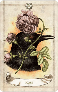 Old Style Oracle by Alexander Ray