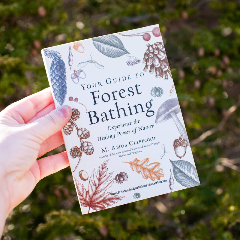 Your Guide to Forest Bathing: Expanded Edition by M. Amos Clifford