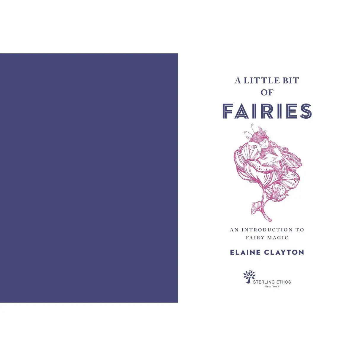 A Little Bit of Fairies by Elaine Clayton
