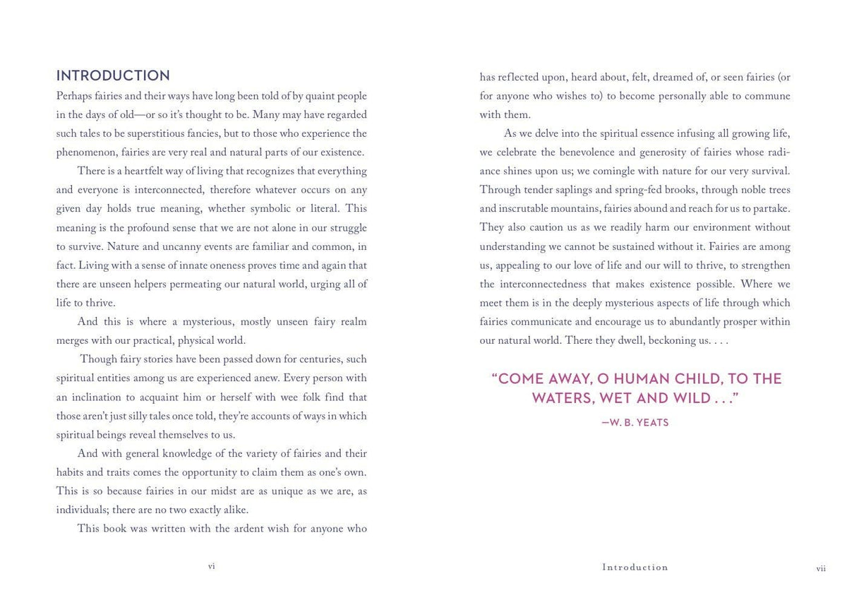 A Little Bit of Fairies by Elaine Clayton
